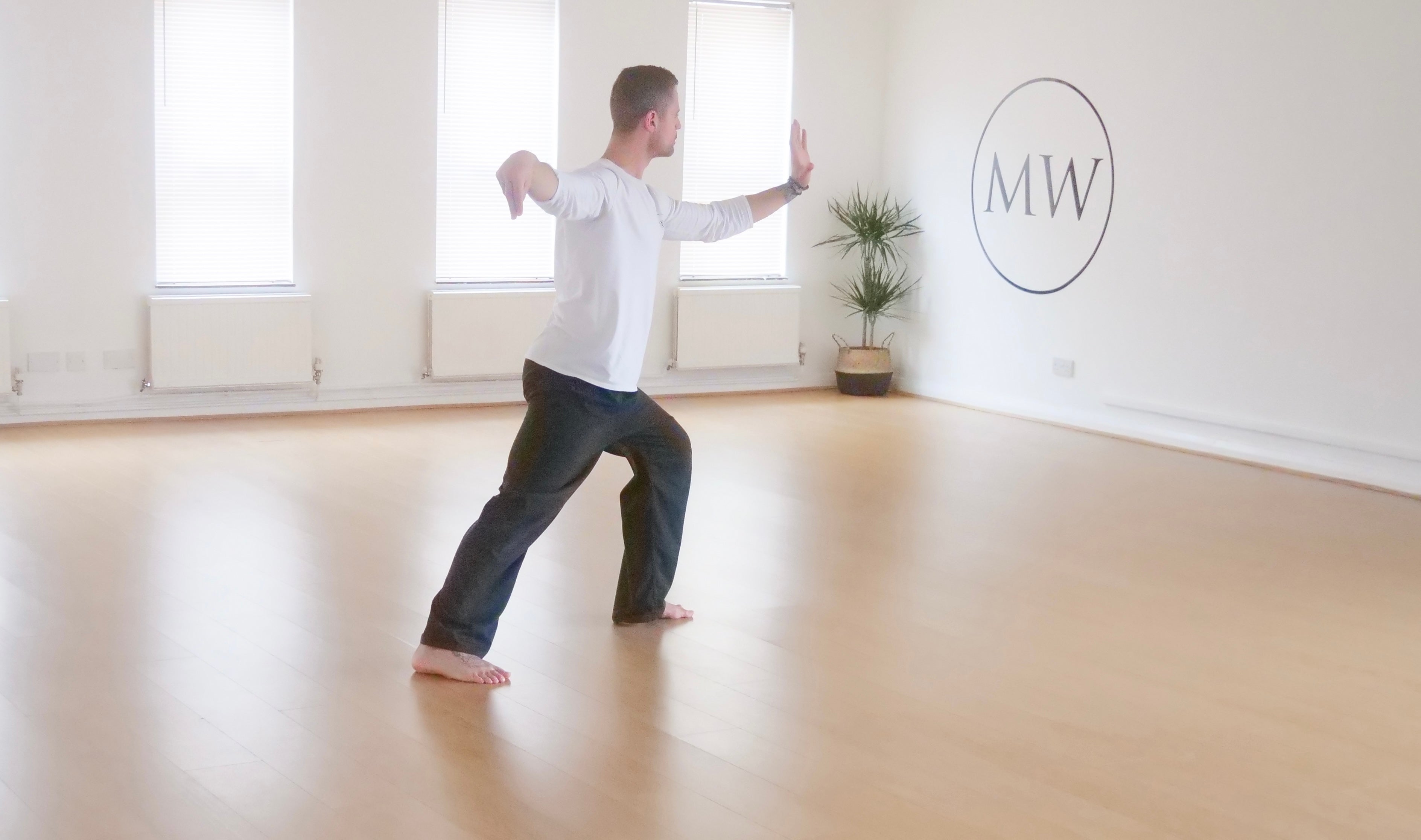 Beginners Tai Chi Course